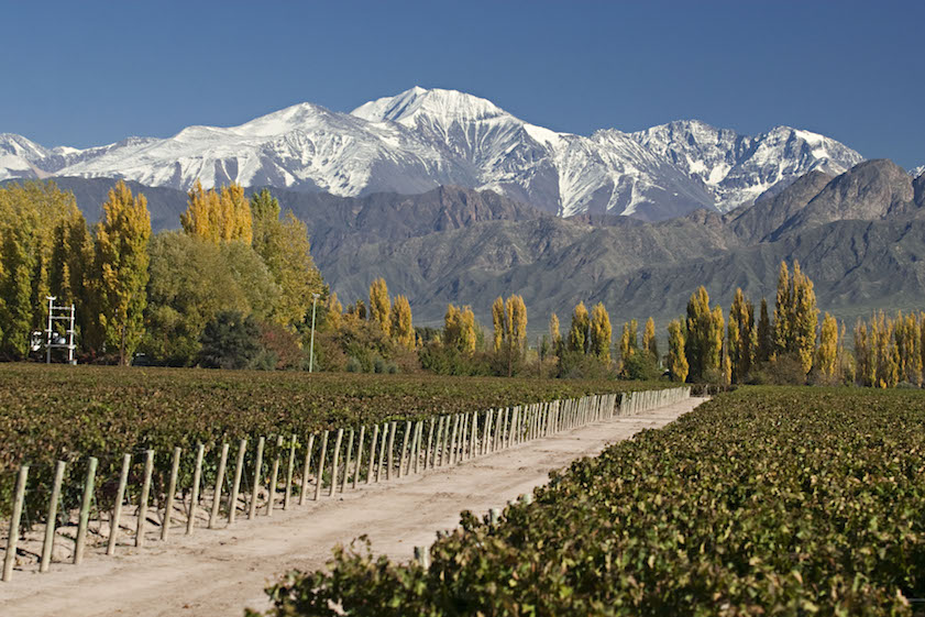 Las Compuertas, Uco Valley, Mendoza.