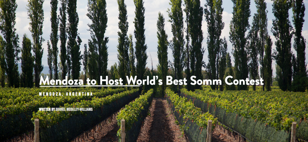 Mendoza will host the fifteenth Contest of the Best Sommelier of the World.